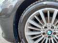 BMW 320 320i Touring Aut. Luxury Line Gris - thumbnail 24