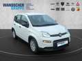 Fiat Panda MY24 Hybrid 1.0 GSE 70PS KLIMAANLAGE*RADIO Weiß - thumbnail 8