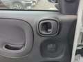 Fiat Panda MY24 Hybrid 1.0 GSE 70PS KLIMAANLAGE*RADIO Weiß - thumbnail 13