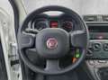 Fiat Panda MY24 Hybrid 1.0 GSE 70PS KLIMAANLAGE*RADIO Weiß - thumbnail 11