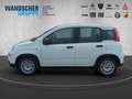 Fiat Panda MY24 Hybrid 1.0 GSE 70PS KLIMAANLAGE*RADIO Weiß - thumbnail 3