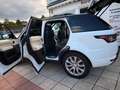Land Rover Range Rover Sport HSE  Panoramadach  7 Sitzer Weiß - thumbnail 3