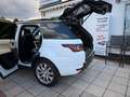 Land Rover Range Rover Sport HSE  Panoramadach  7 Sitzer Weiß - thumbnail 10