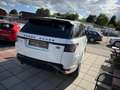 Land Rover Range Rover Sport HSE  Panoramadach  7 Sitzer Weiß - thumbnail 27