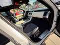 Land Rover Range Rover Sport HSE  Panoramadach  7 Sitzer Weiß - thumbnail 17