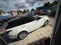 Land Rover Range Rover Sport HSE  Panoramadach  7 Sitzer Weiß - thumbnail 29