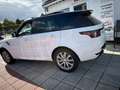 Land Rover Range Rover Sport HSE  Panoramadach  7 Sitzer Weiß - thumbnail 4