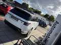 Land Rover Range Rover Sport HSE  Panoramadach  7 Sitzer Weiß - thumbnail 28