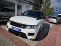 Land Rover Range Rover Sport HSE  Panoramadach  7 Sitzer Weiß - thumbnail 22