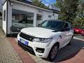 Land Rover Range Rover Sport HSE  Panoramadach  7 Sitzer Weiß - thumbnail 25