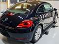 Volkswagen Beetle Beetle 1,2 TSI Schwarz - thumbnail 4