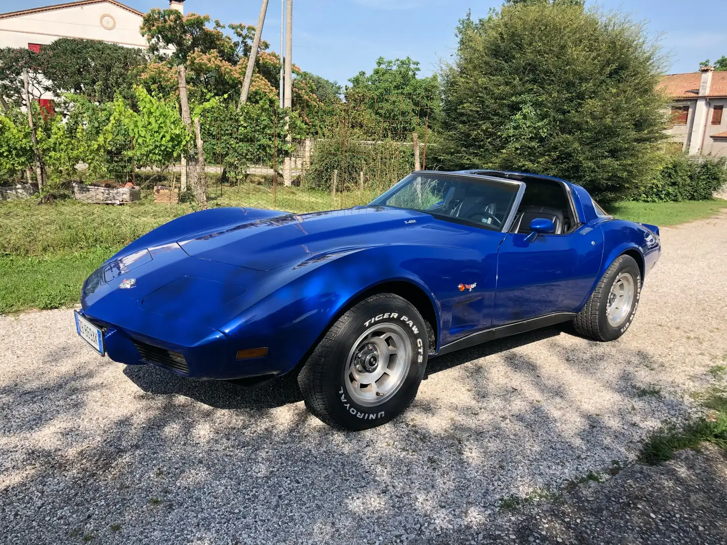 Chevrolet Corvette C3 25th annivert Синій - 1