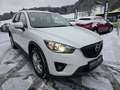 Mazda CX-5 Allrad / Automatik / Diesel / Anhängerkuplung Weiß - thumbnail 2