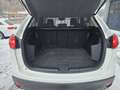 Mazda CX-5 Allrad / Automatik / Diesel / Anhängerkuplung Weiß - thumbnail 6