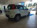 Fiat Panda Panda 1.0 firefly hybrid s Bianco - thumbnail 5
