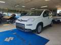 Fiat Panda Panda 1.0 firefly hybrid s Bianco - thumbnail 1