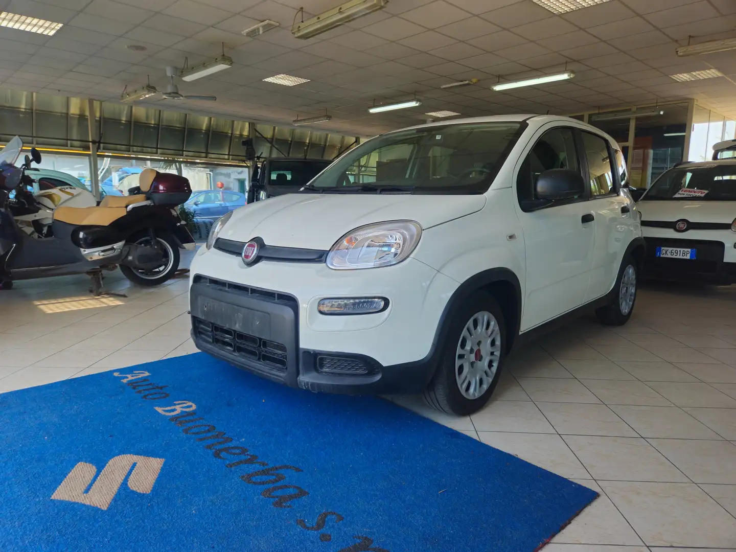 Fiat Panda Panda 1.0 firefly hybrid s Bianco - 1