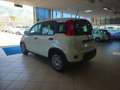 Fiat Panda Panda 1.0 firefly hybrid s Bianco - thumbnail 7