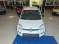 Fiat Panda Panda 1.0 firefly hybrid s Bianco - thumbnail 16