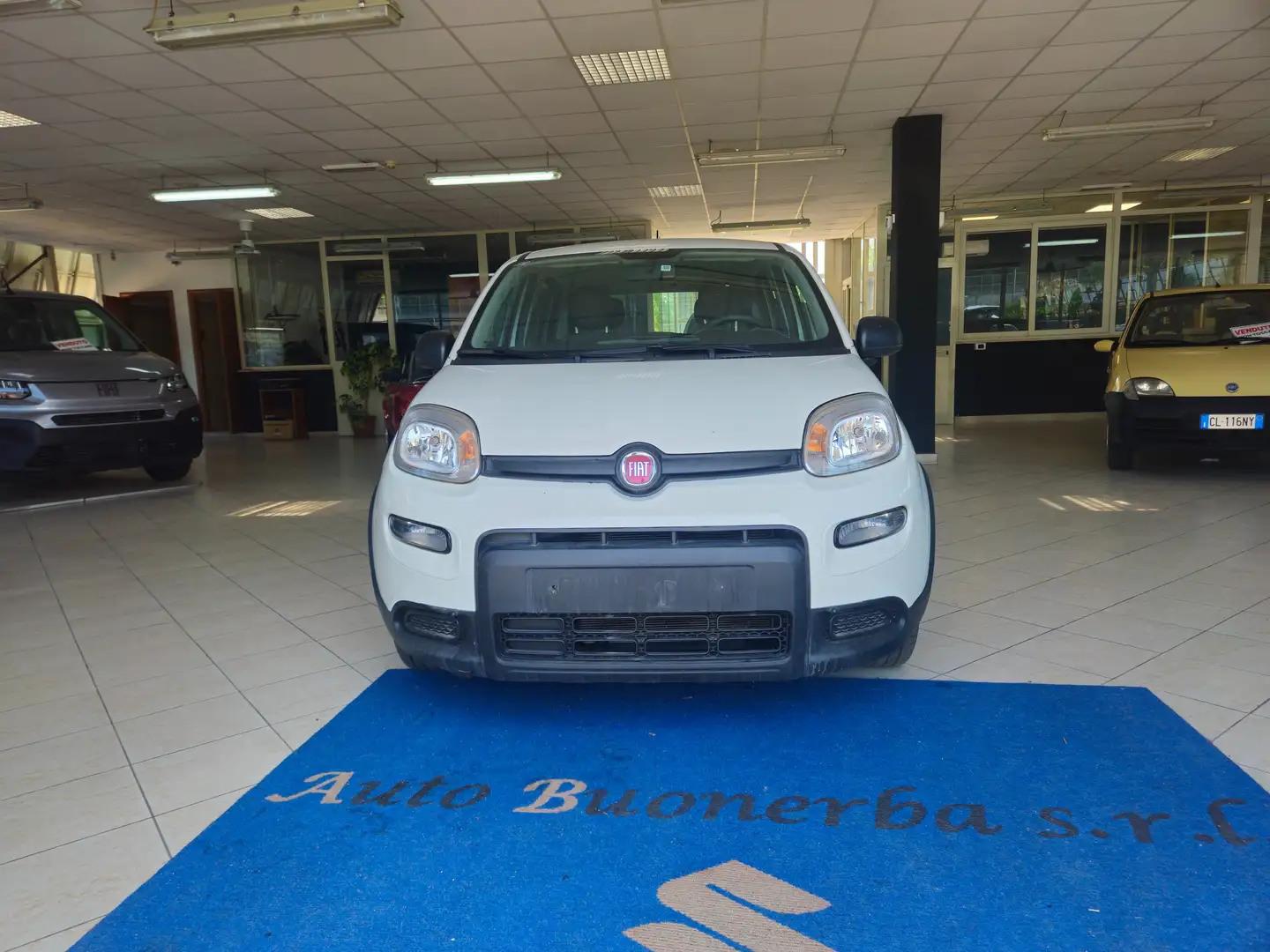 Fiat Panda Panda 1.0 firefly hybrid s Bianco - 2