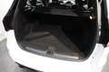 Ford Kuga 2,0 TDCi ST-Line AWD Weiß - thumbnail 12