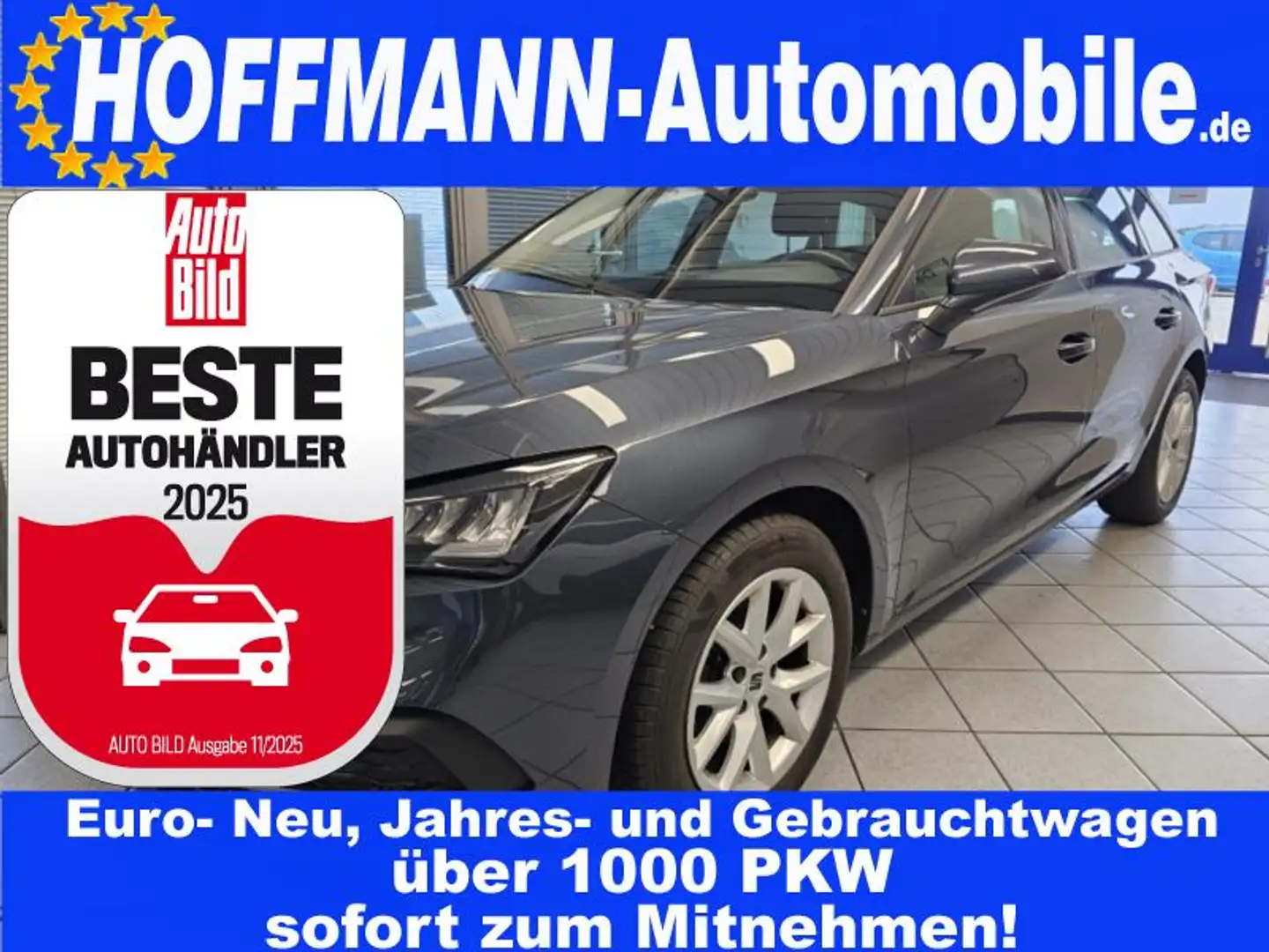 SEAT Leon Style Sitz+Lenkradhzg.,PDC Grau - 1