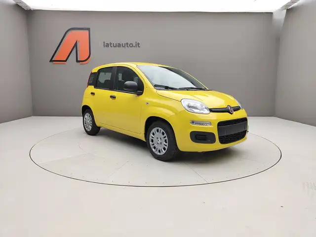 Fiat Panda view 2
