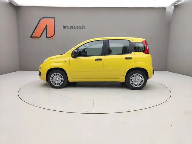 Fiat Panda view 3