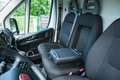 Fiat Ducato MAXI 35 L3H2 140/KLIMA/TEMPO/SERVO/TELE/... Weiß - thumbnail 14