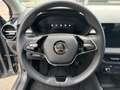 Skoda Fabia 1.0 TSI EVO Style Grigio - thumbnail 15