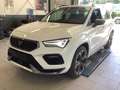 CUPRA Ateca 2.0 TSI 4Drive DSG Beats ACC 360°Cam Navi Weiß - thumbnail 2
