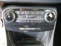 Ford Puma Titanium Grau - thumbnail 21