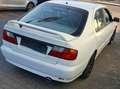 Nissan Primera Weiß - thumbnail 4