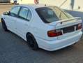 Nissan Primera Weiß - thumbnail 3
