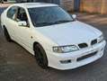Nissan Primera Weiß - thumbnail 2