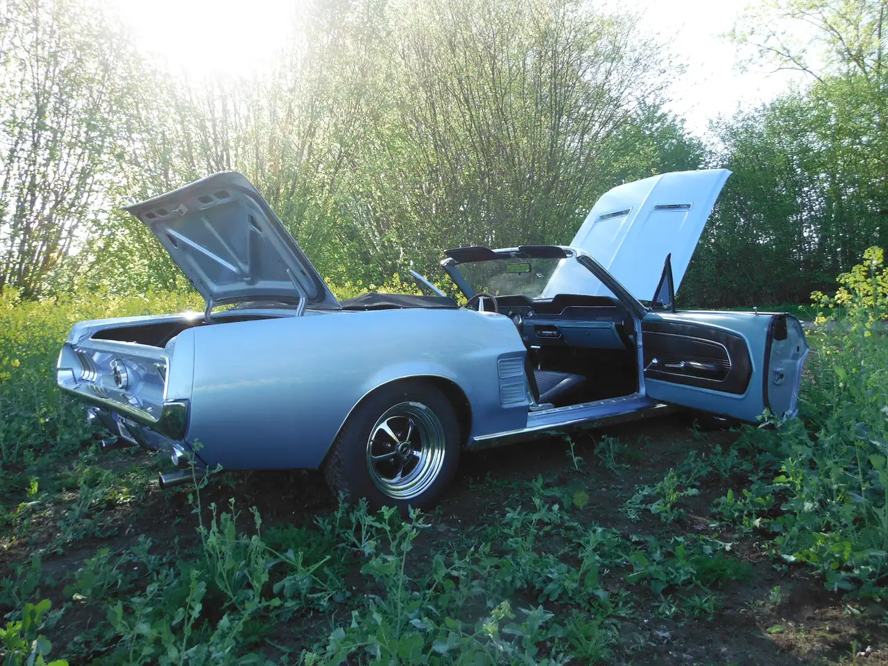 Ford Mustang, foto 9