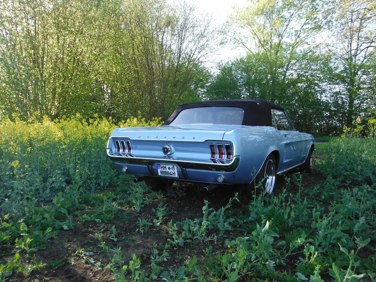 Ford Mustang, foto 12