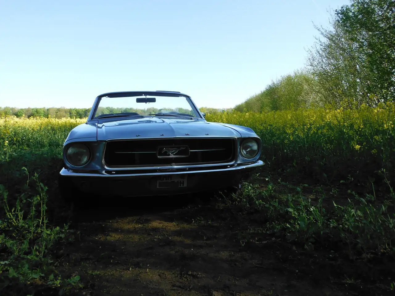 Ford Mustang, foto 11