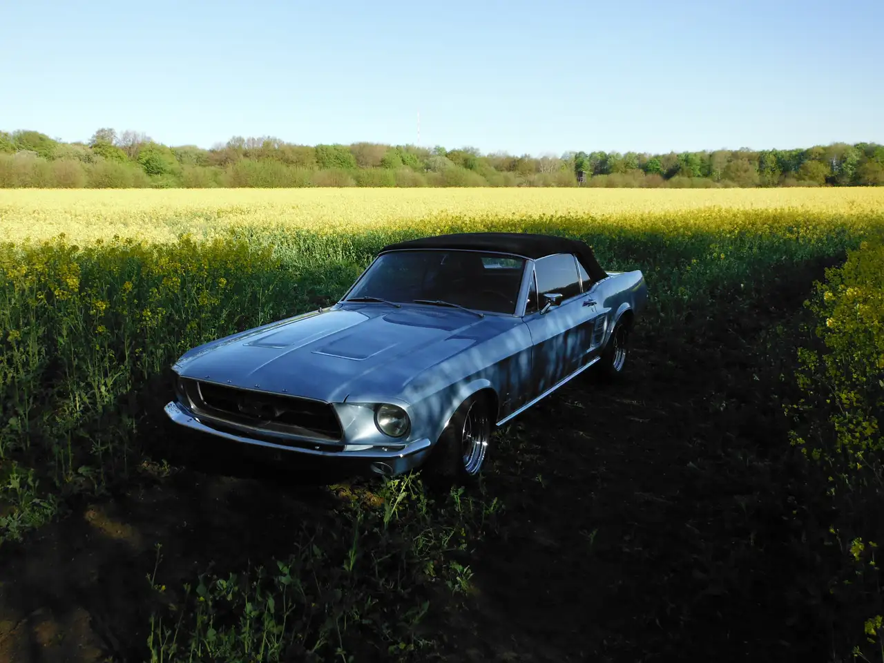 Ford Mustang, foto 3