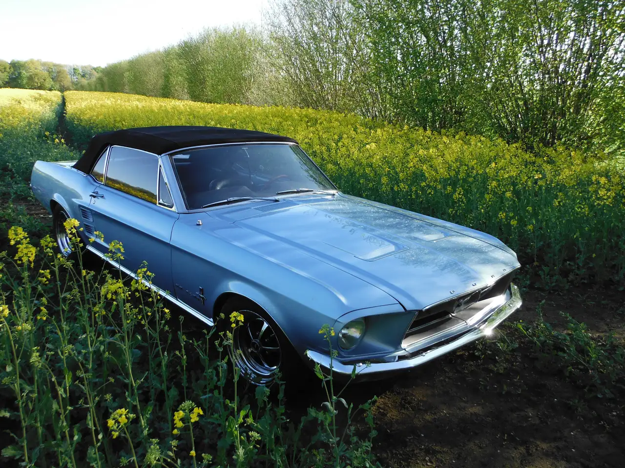 Ford Mustang, foto 2