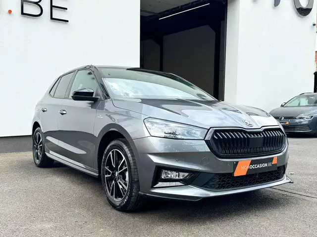 Skoda Fabia view 12