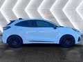 Ford Puma 1,0 EcoBoost **ST** Aut. Weiß - thumbnail 6
