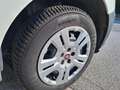 Fiat Doblo Doblò 1.6 MJT 105CV DOPPIA PORTA LATERALE N°FX13 Weiß - thumbnail 11