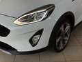 Ford Fiesta Fiesta VII 2017 5p 5p 1.0 ecoboost Active 100cv Bianco - thumbnail 15