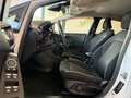 Ford Fiesta Fiesta VII 2017 5p 5p 1.0 ecoboost Active 100cv Bianco - thumbnail 9