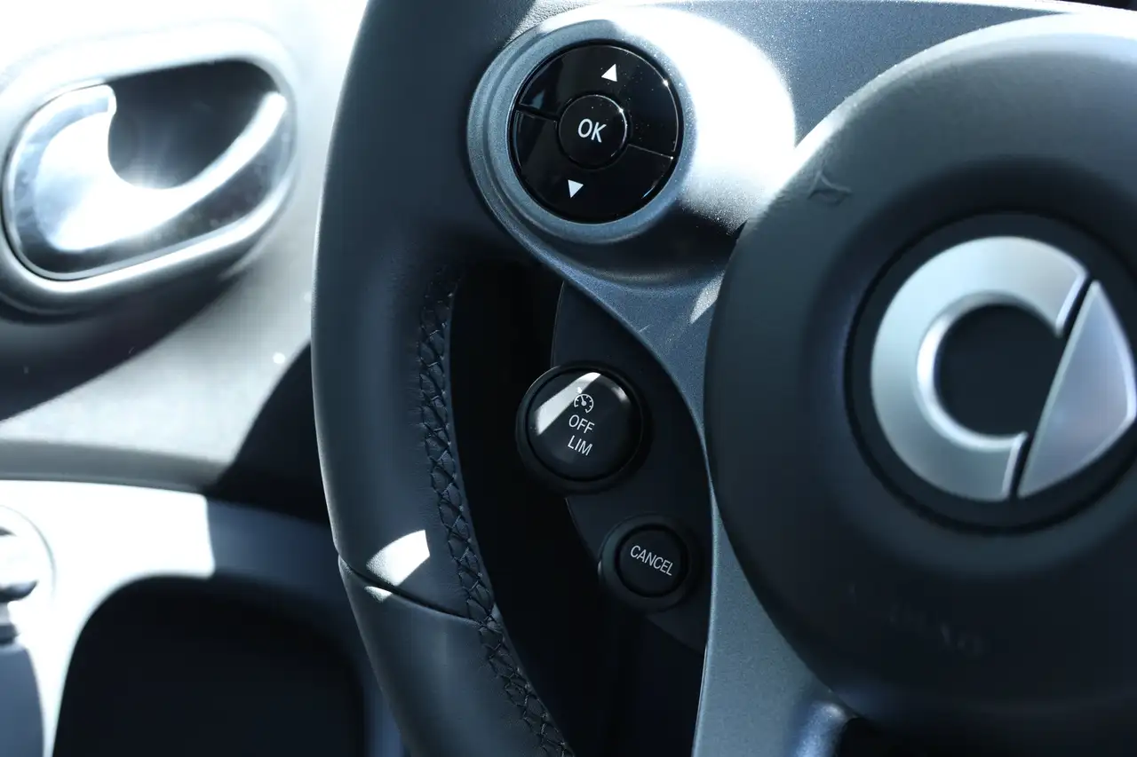 smart forTwo 2024 — фото 14