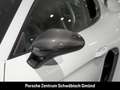 Porsche Cayman 718 GT4 RS Sportabgasanlage Überrollkäfig Weiß - thumbnail 14