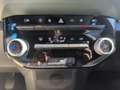 Dacia Spring Electric 65  Extreme *NAV*CCS*PDC* Beige - thumbnail 11