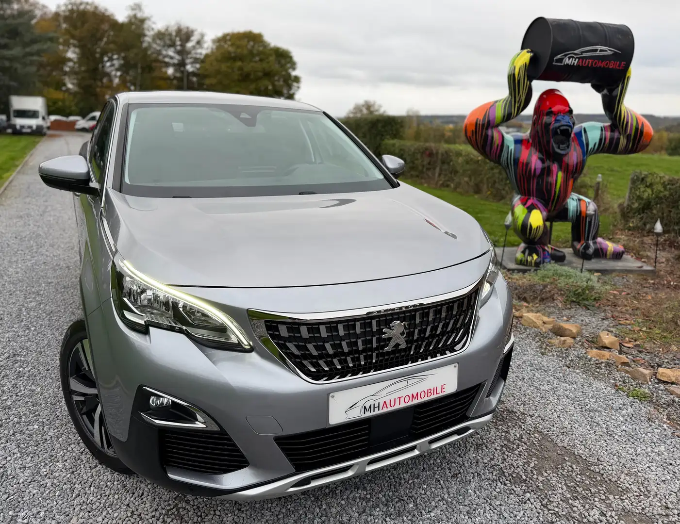 Peugeot 3008 1.5 BlueHDi Active Gris - 2