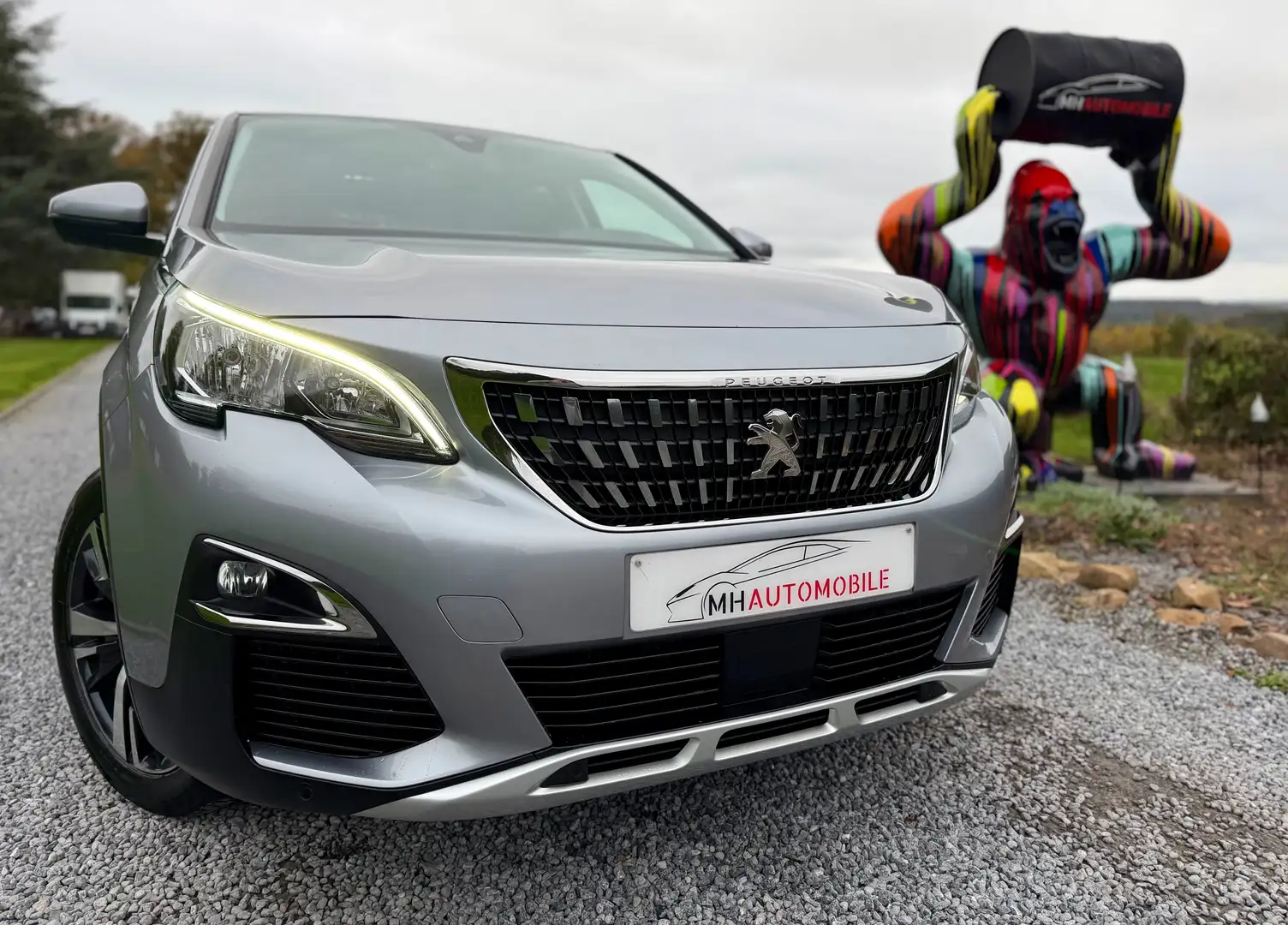 Peugeot 3008 1.5 BlueHDi Active Gris - 1